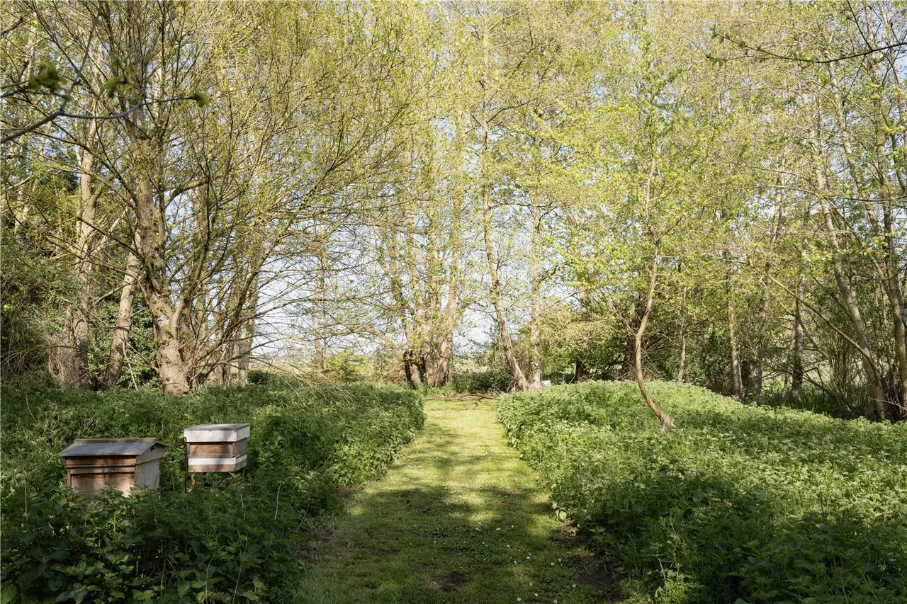 Lower Road, Rockland St. Mary, NR14, photo 32