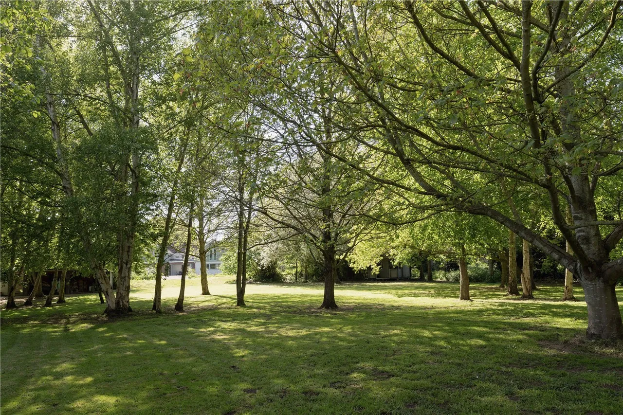 Lower Road, Rockland St. Mary, NR14, photo 29