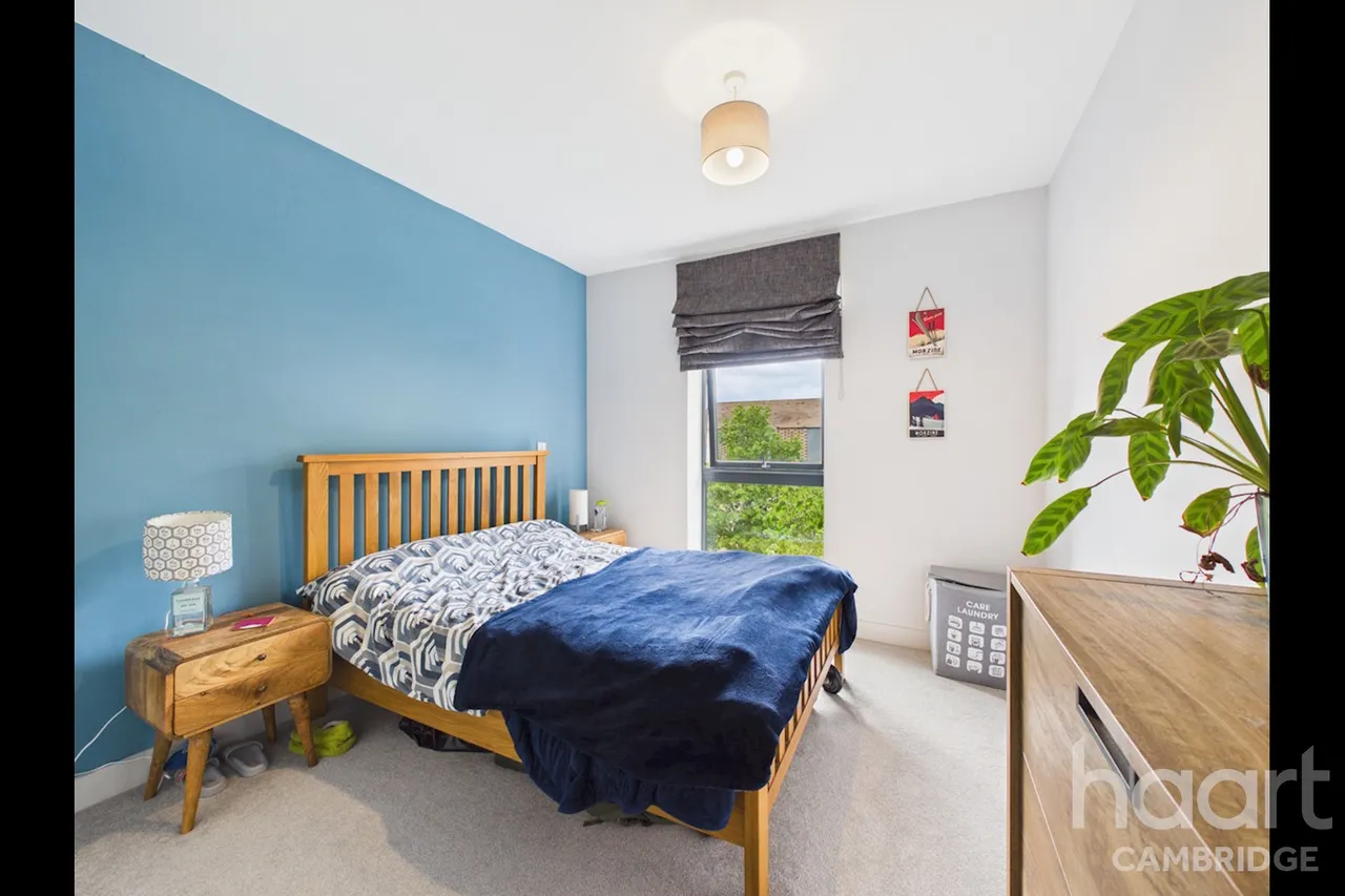 Hobson Avenue, Cambridge, CB2, photo 10