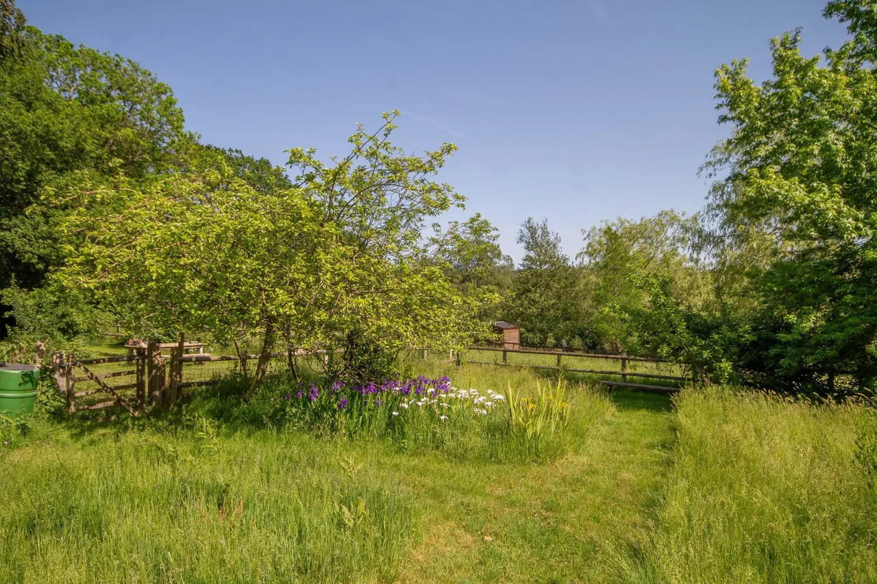 Birch Grove, Horsted Keynes, RH17, photo 6