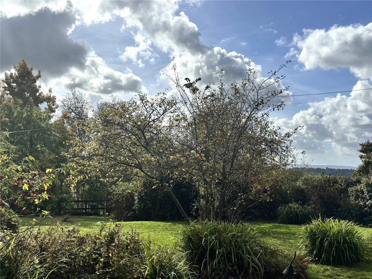 Birch Grove, Horsted Keynes, RH17, photo 19
