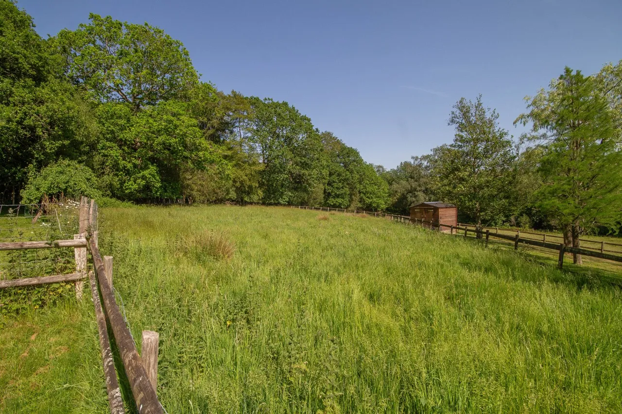 Birch Grove, Horsted Keynes, RH17, photo 9