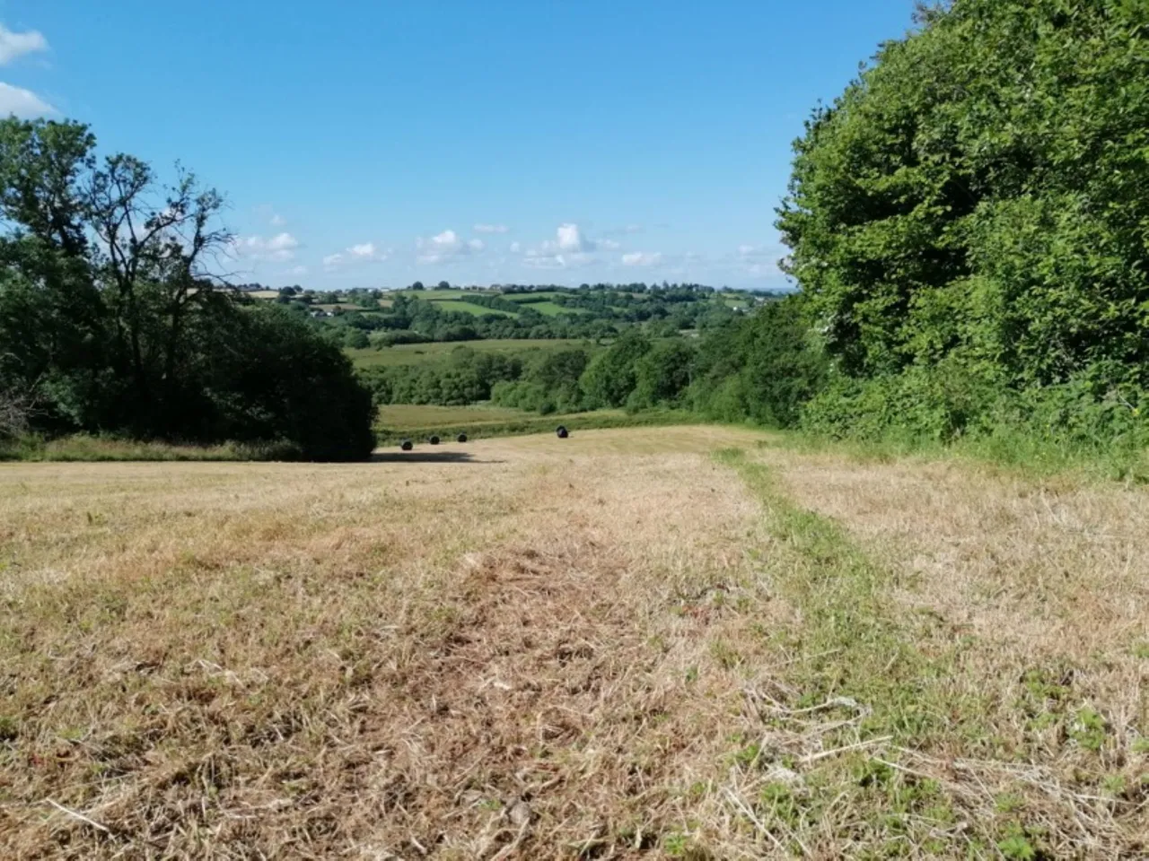 Porthrhyd, Carmarthen, SA32, photo 11