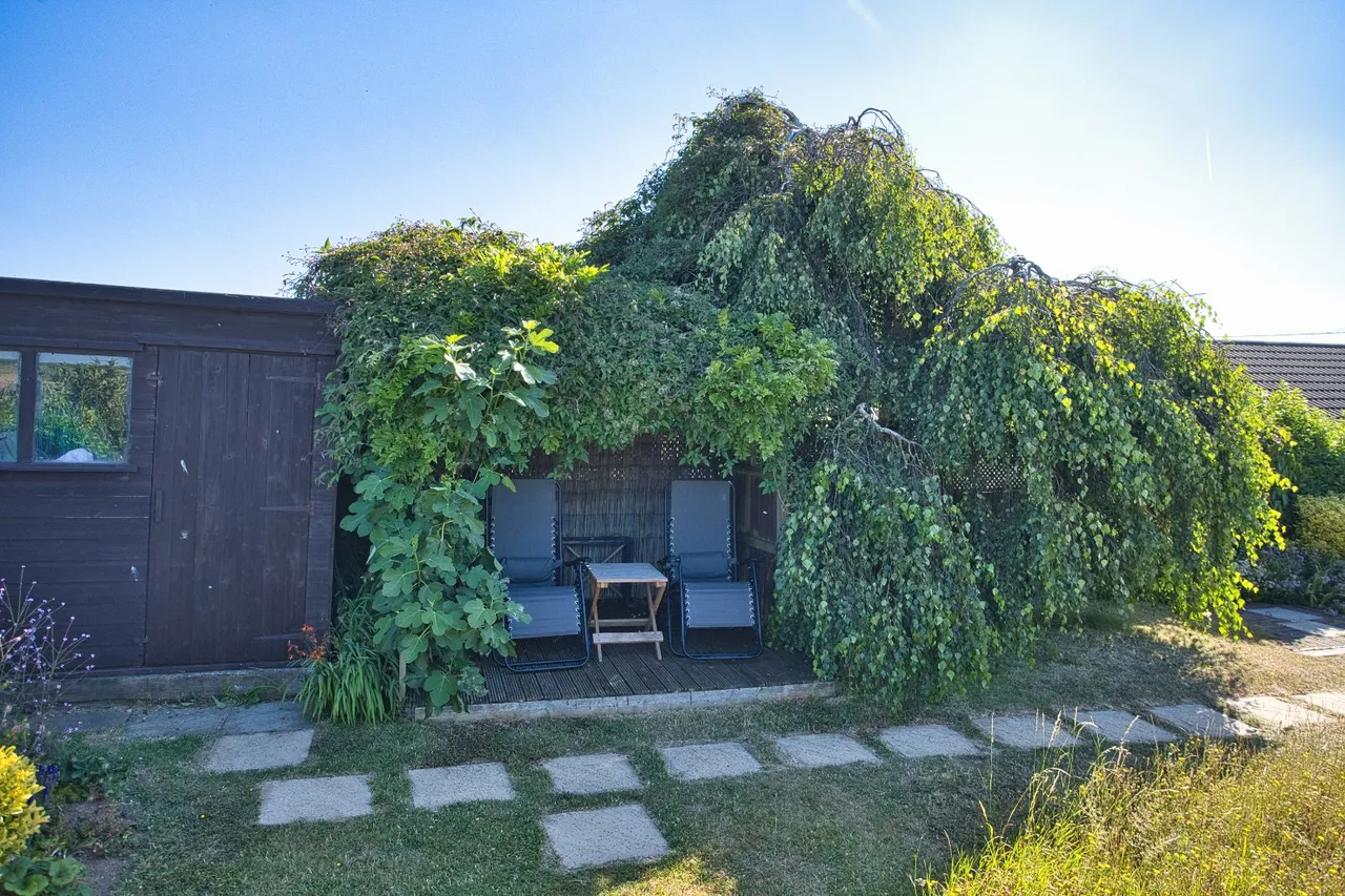 Nelson Park Road, St. Margarets-at-Cliffe, CT15, photo 16