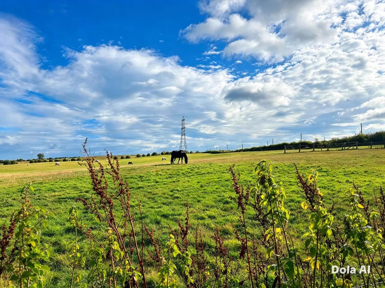 Windermere Road, Durham, DH6, photo 10
