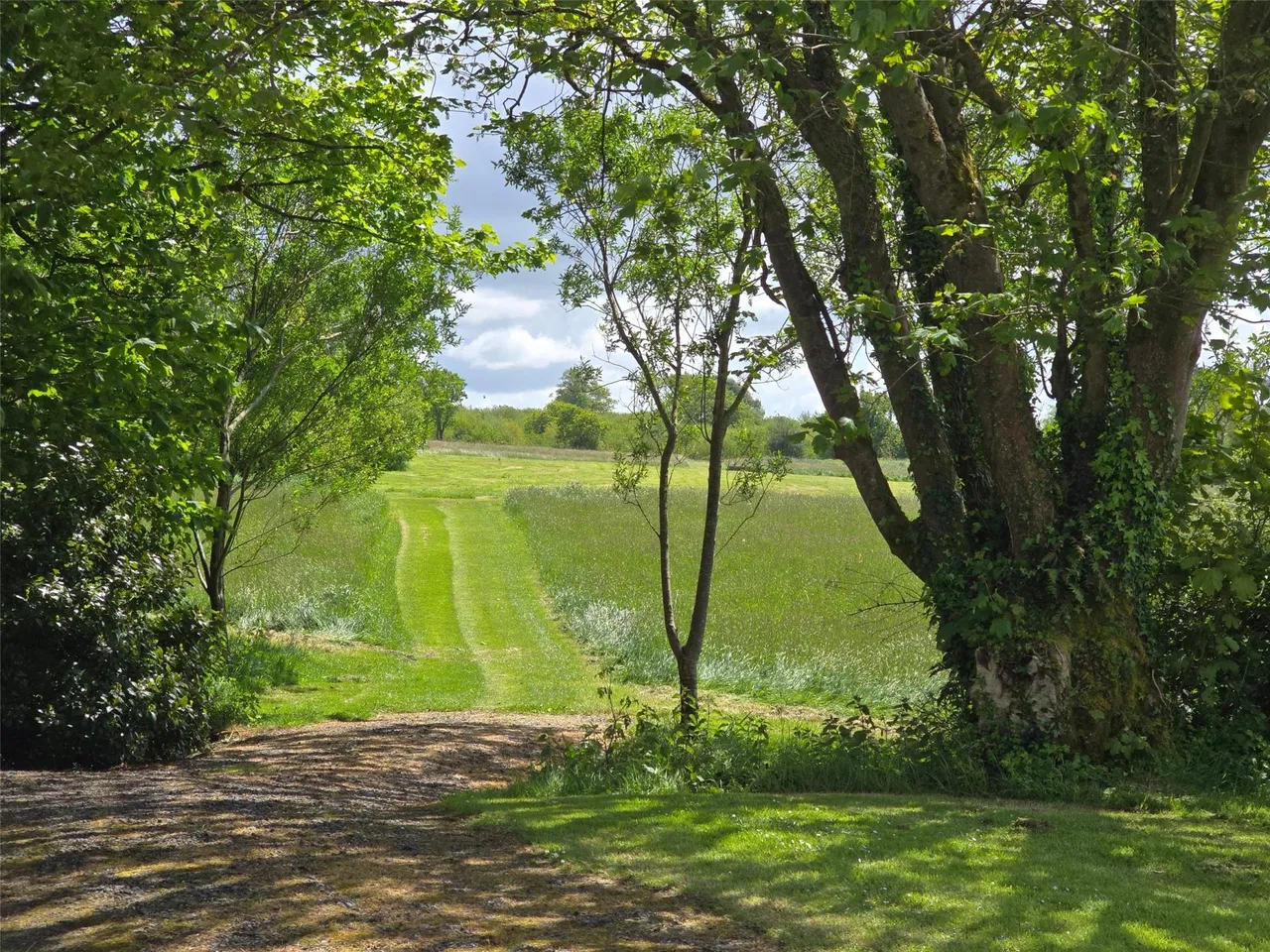 Ashwater, Beaworthy, photo 20