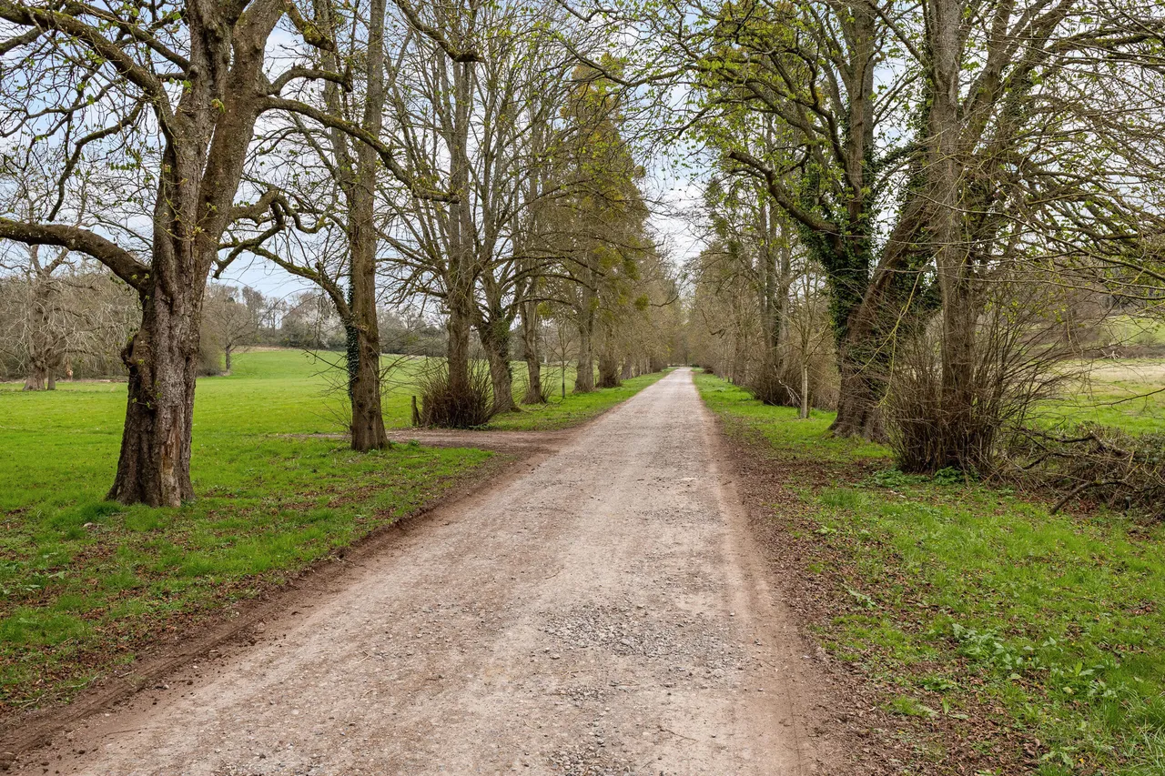 Midgham Park, Reading, RG7, photo 3