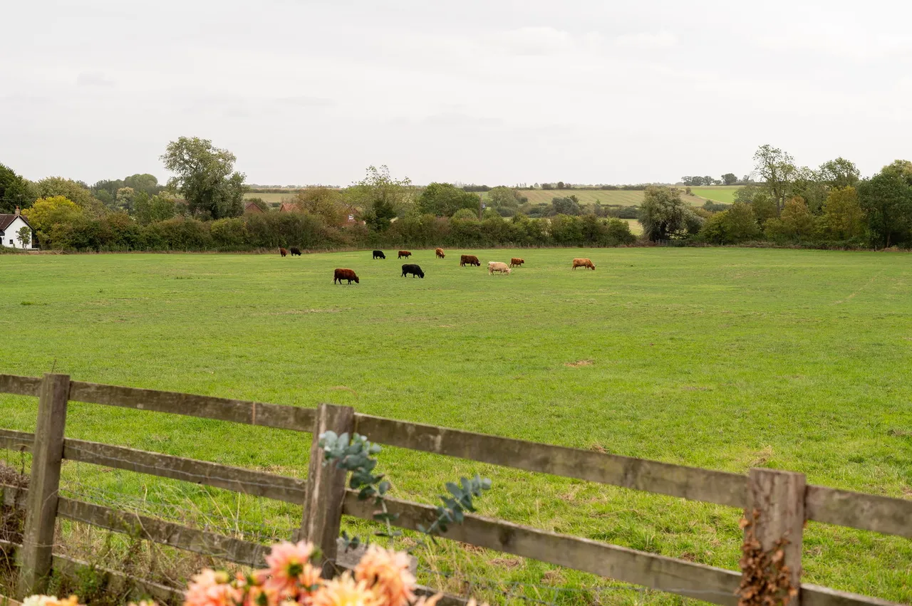 Pheasant Cottage, Keyston, photo 26