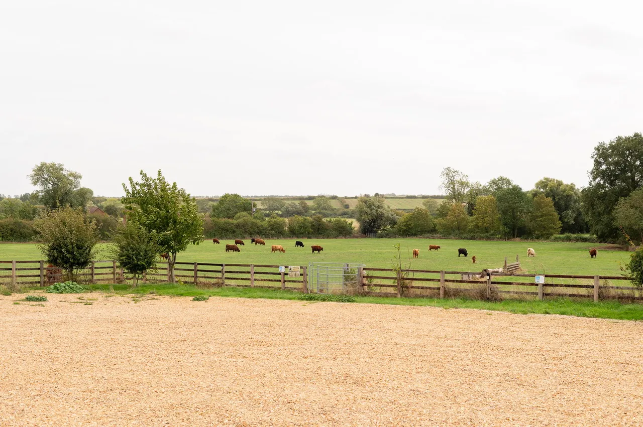 Pheasant Cottage, Keyston, photo 27