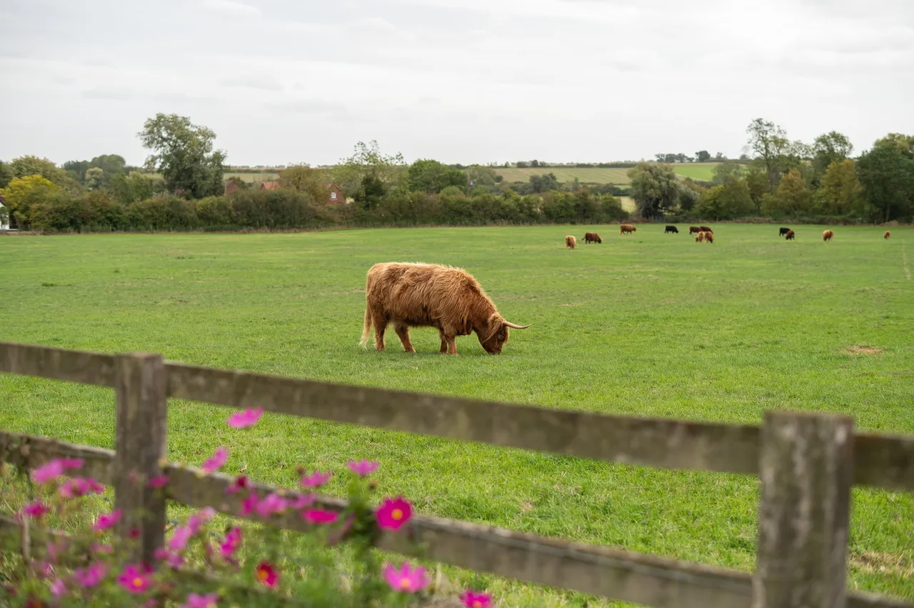 Pheasant Cottage, Keyston, photo 28