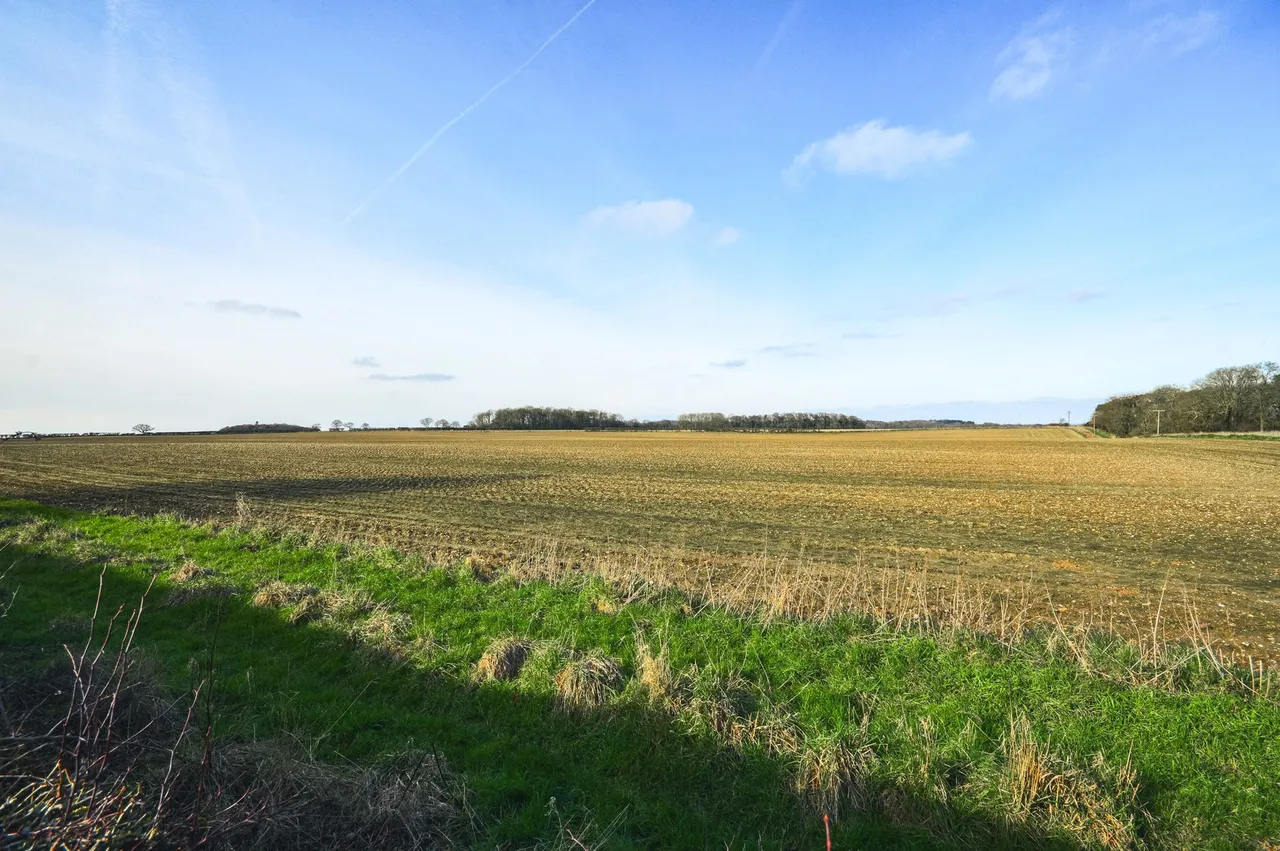 Docking Road, Burnham Market, PE31, photo 18