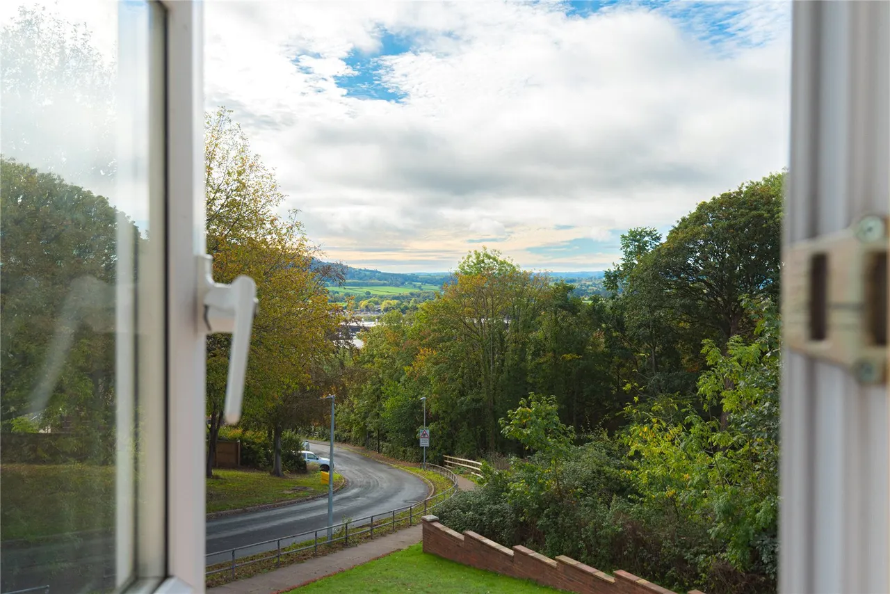 Borfa Green, Welshpool, SY21, photo 25