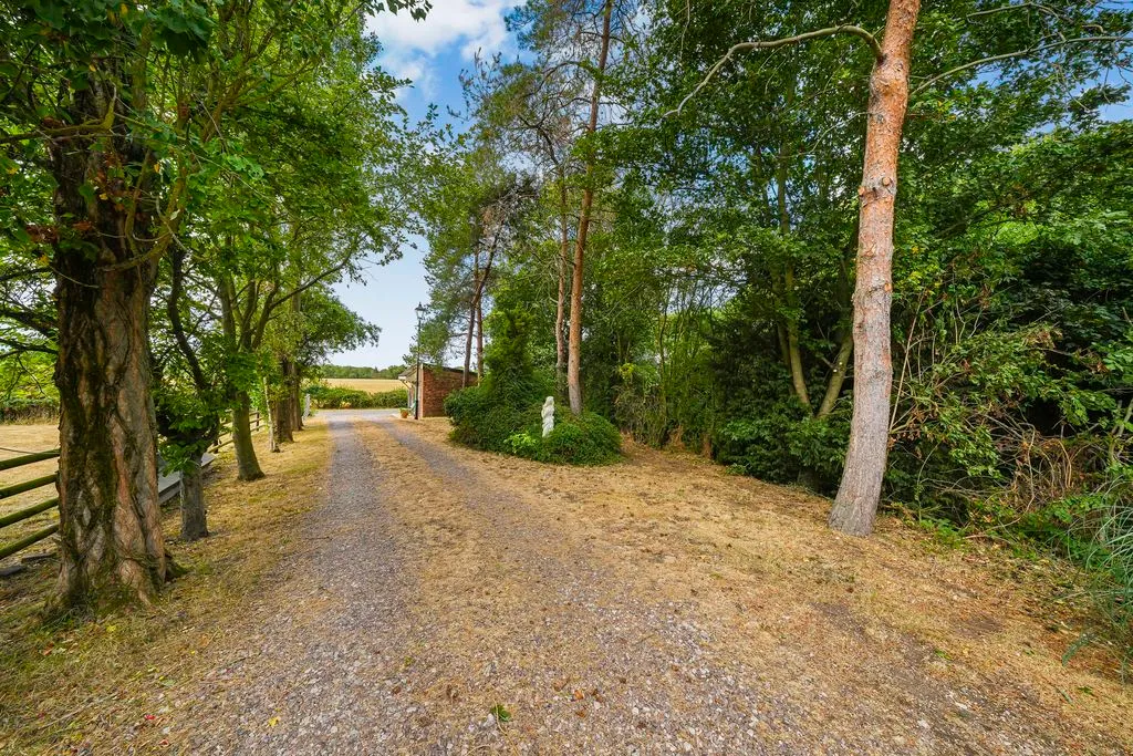 Mill Lane, Edingale, B79, photo 28