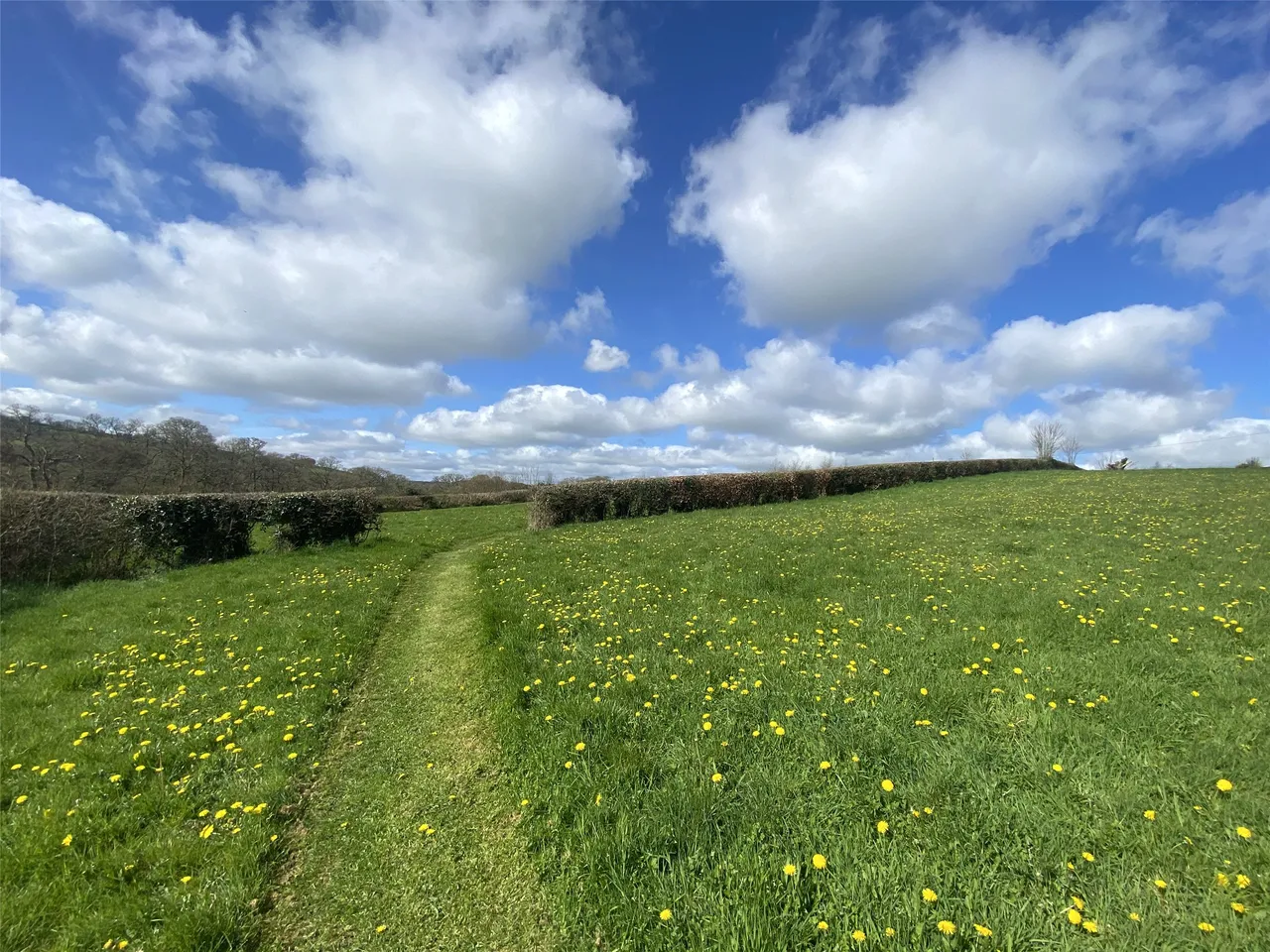 Yeolmbridge, Launceston, PL15, photo 20