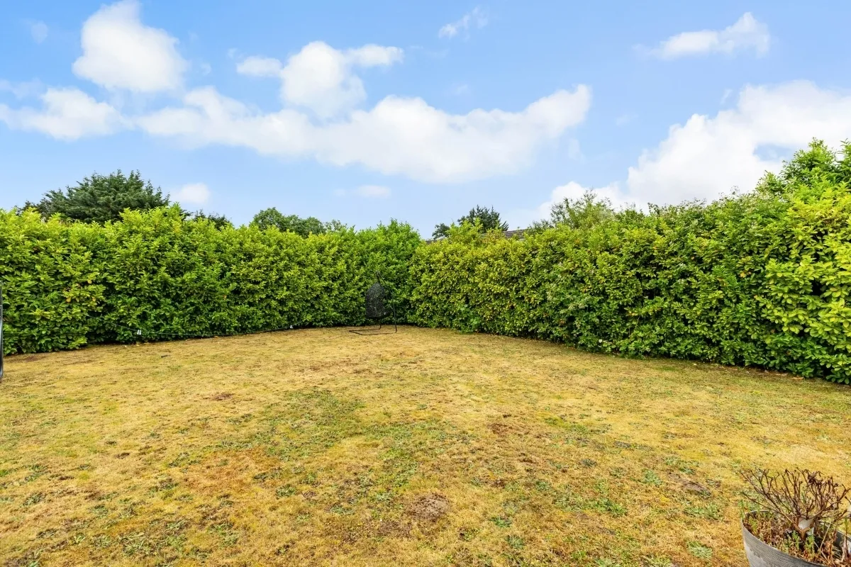 Wexham Woods, SL3, photo 25