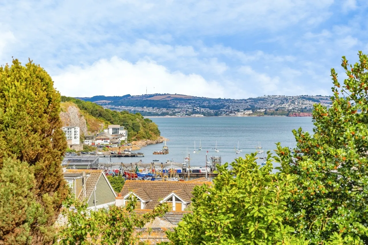 Wall Park Close, Brixham, TQ5, photo 22