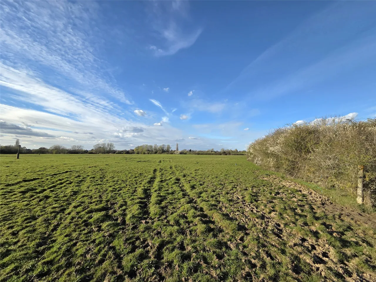 Chertsey Lane, Chertsey, TW18, photo 5
