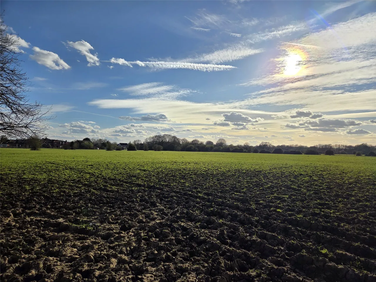 Chertsey Lane, Chertsey, TW18, photo 4
