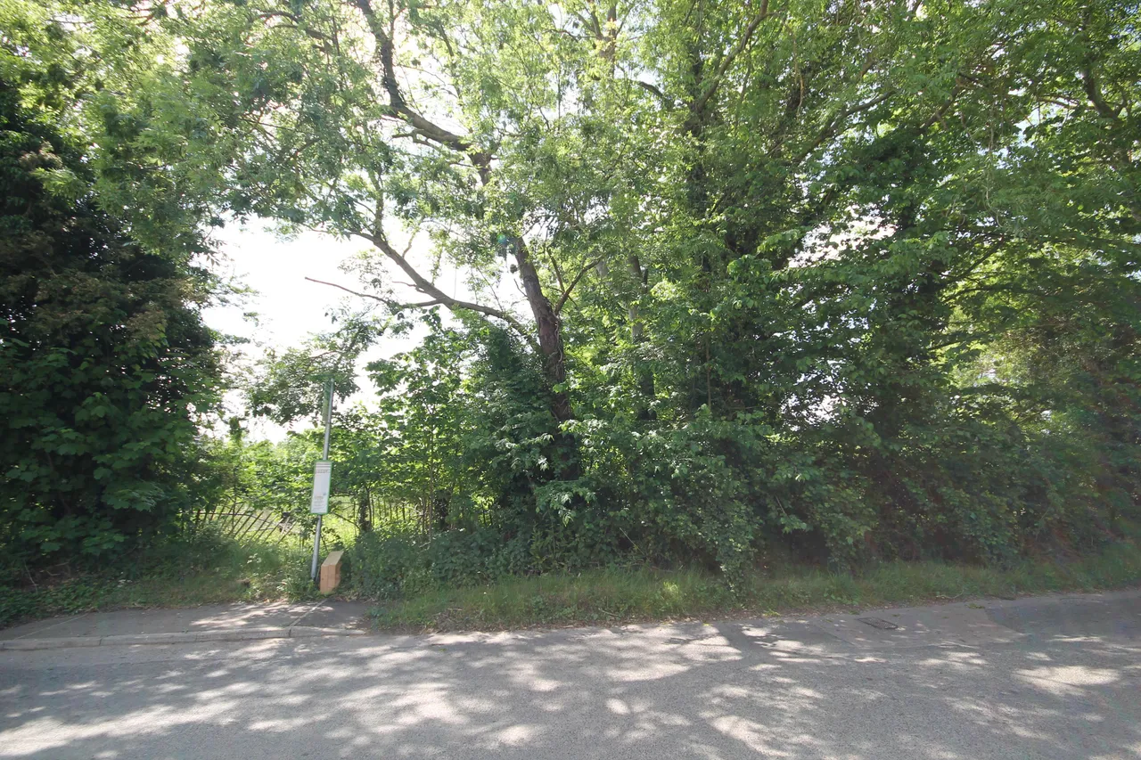 Northwood End Road, Haynes, photo 4