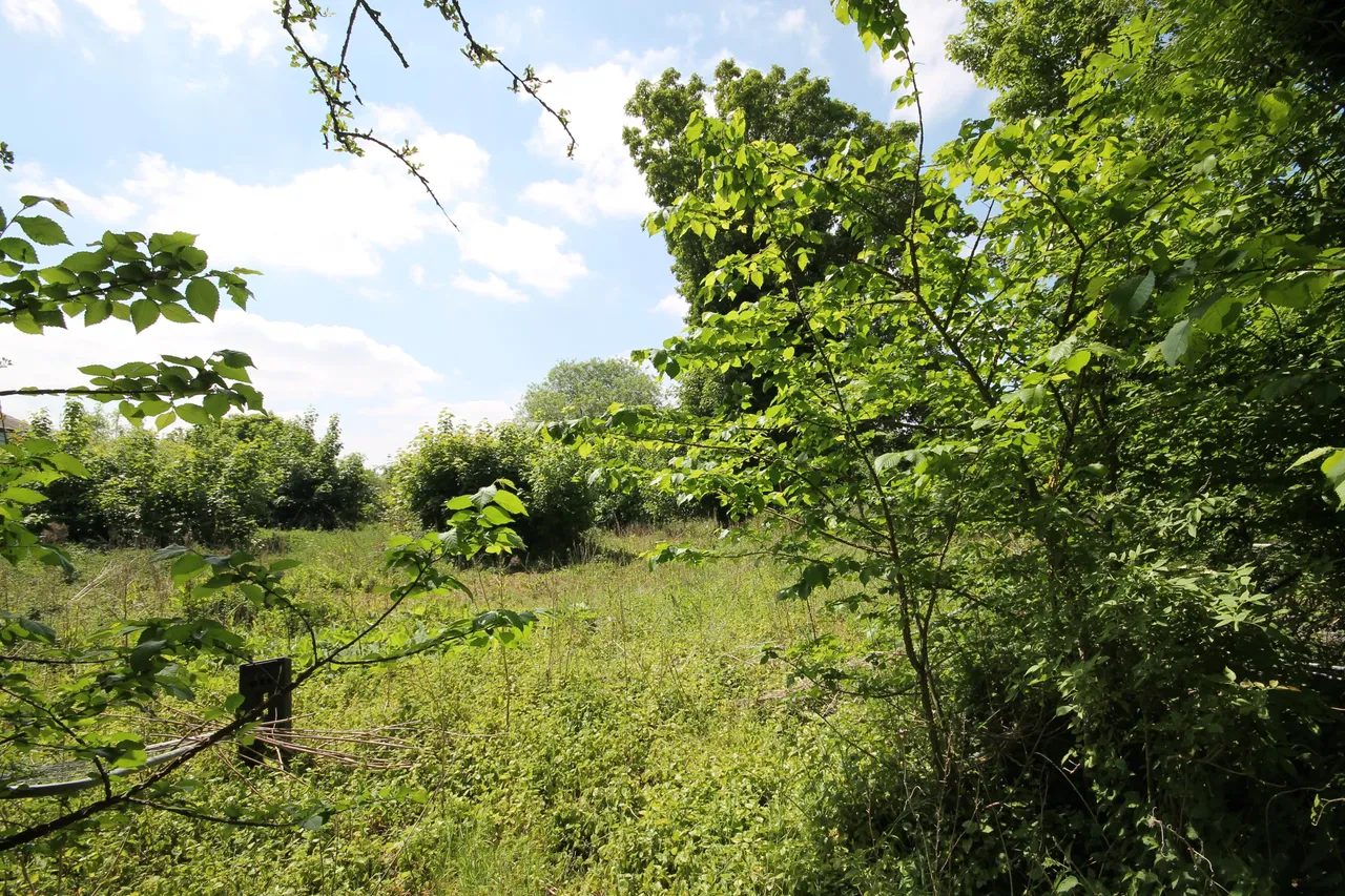 Northwood End Road, Haynes, photo 2