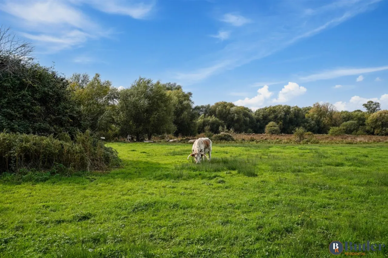 Purwell Lane, Hitchin, SG4, photo 53