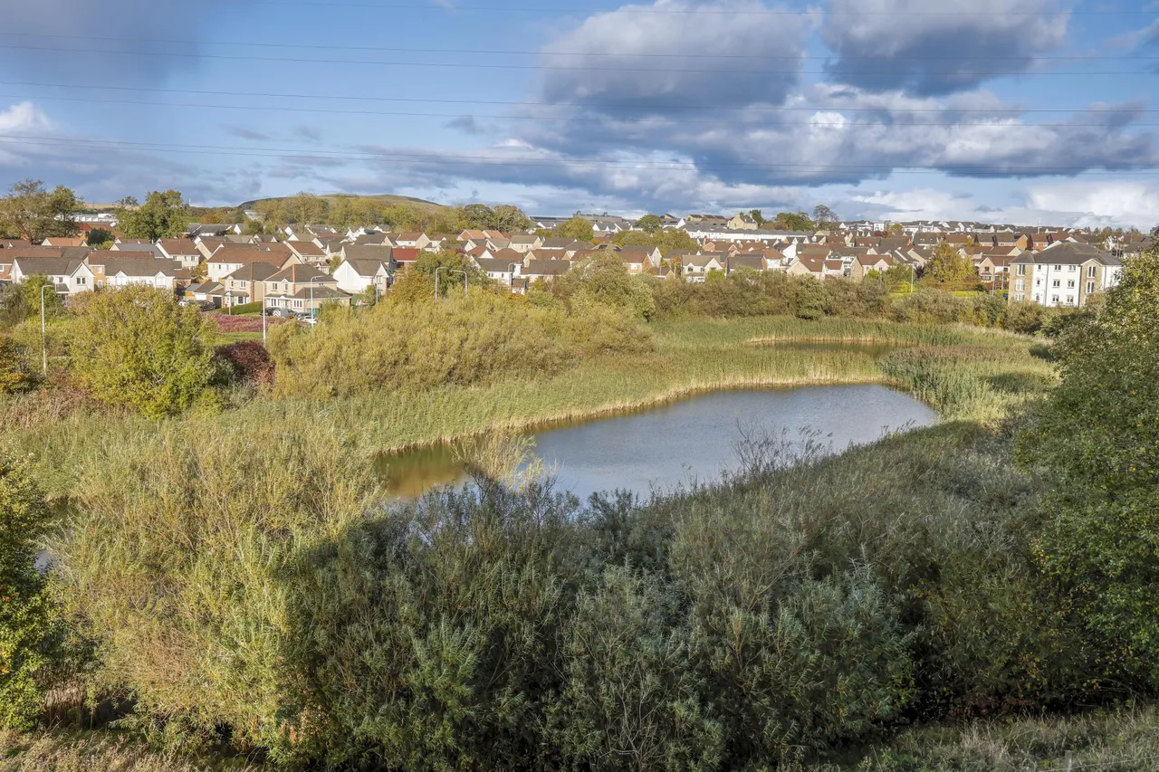 Blane Crescent, Dunfermline, KY11, photo 24