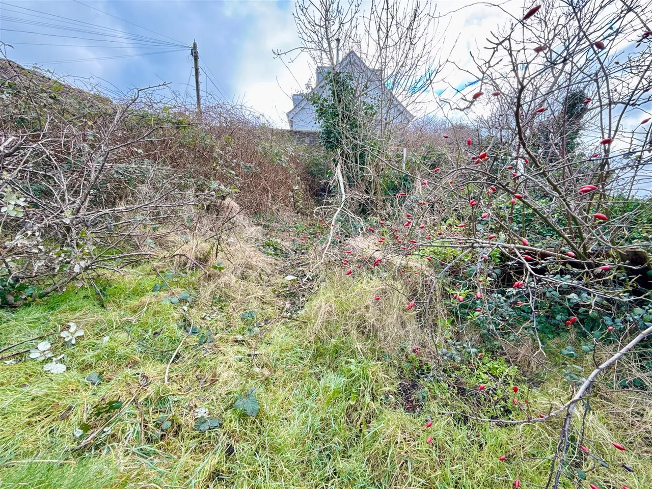 Mount Pleasant Road, Brixham, photo 16