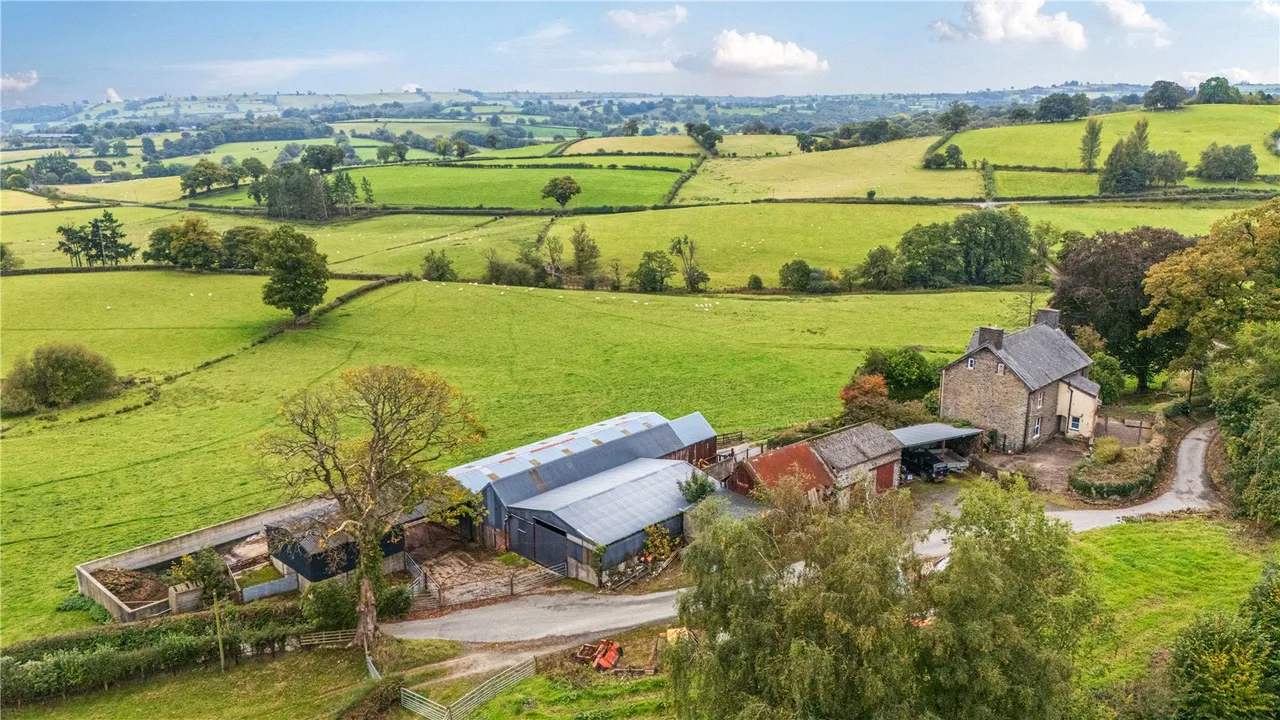 Gelli, Llanfair Caereinion, photo 14