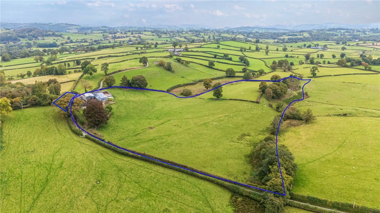 Gelli, Llanfair Caereinion, photo 22