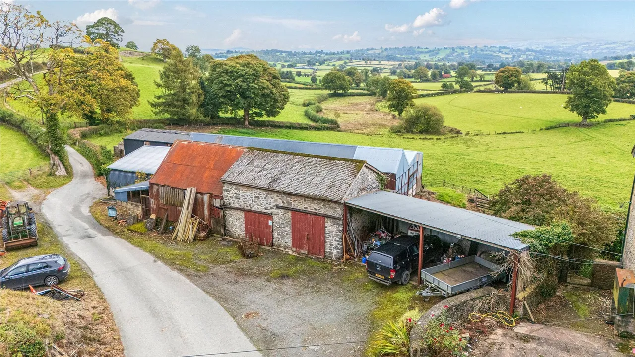 Gelli, Llanfair Caereinion, photo 13
