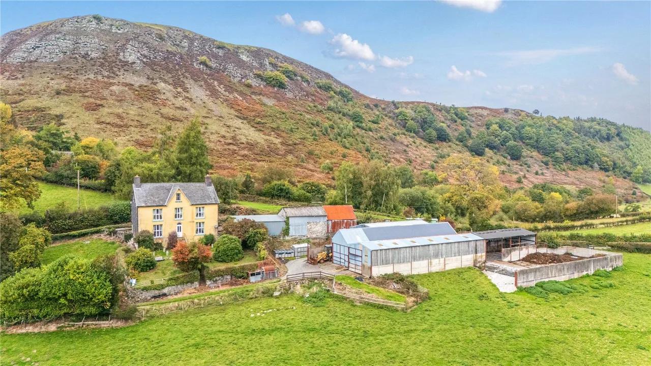 Gelli, Llanfair Caereinion, photo 11