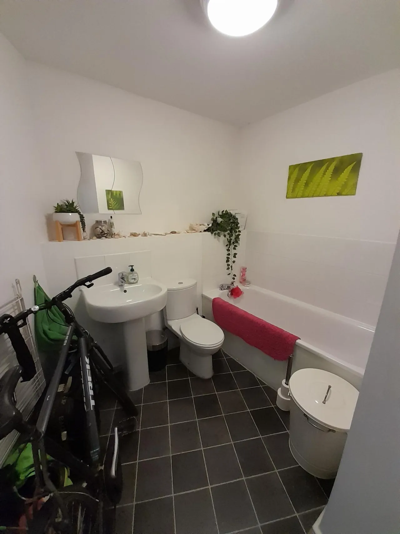 Stillwater Drive, Manchester, M11, photo 16