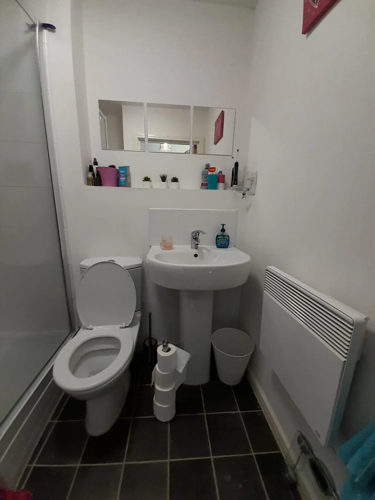 Stillwater Drive, Manchester, M11, photo 14