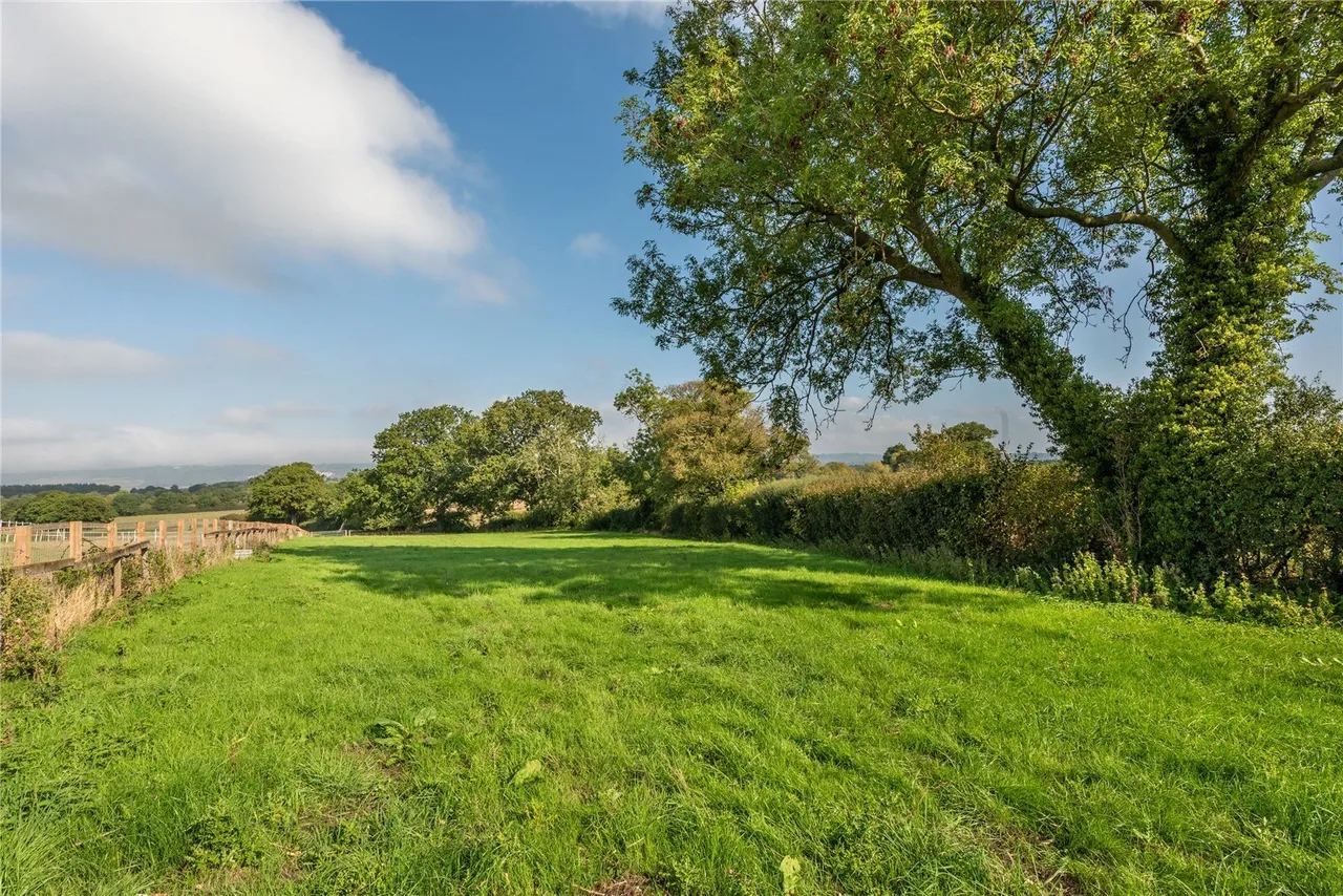 Shellwood Road, Leigh, RH2, photo 11
