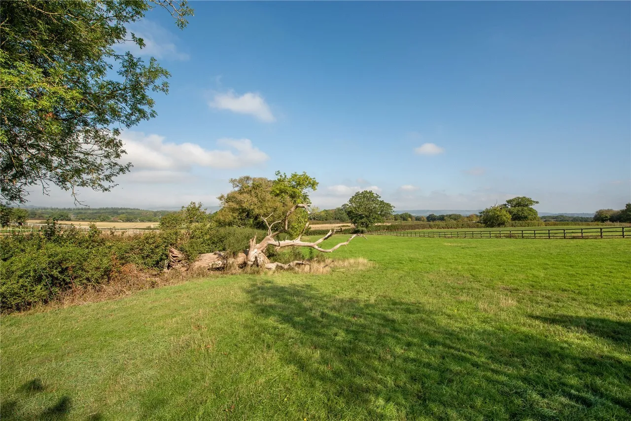 Shellwood Road, Leigh, RH2, photo 10
