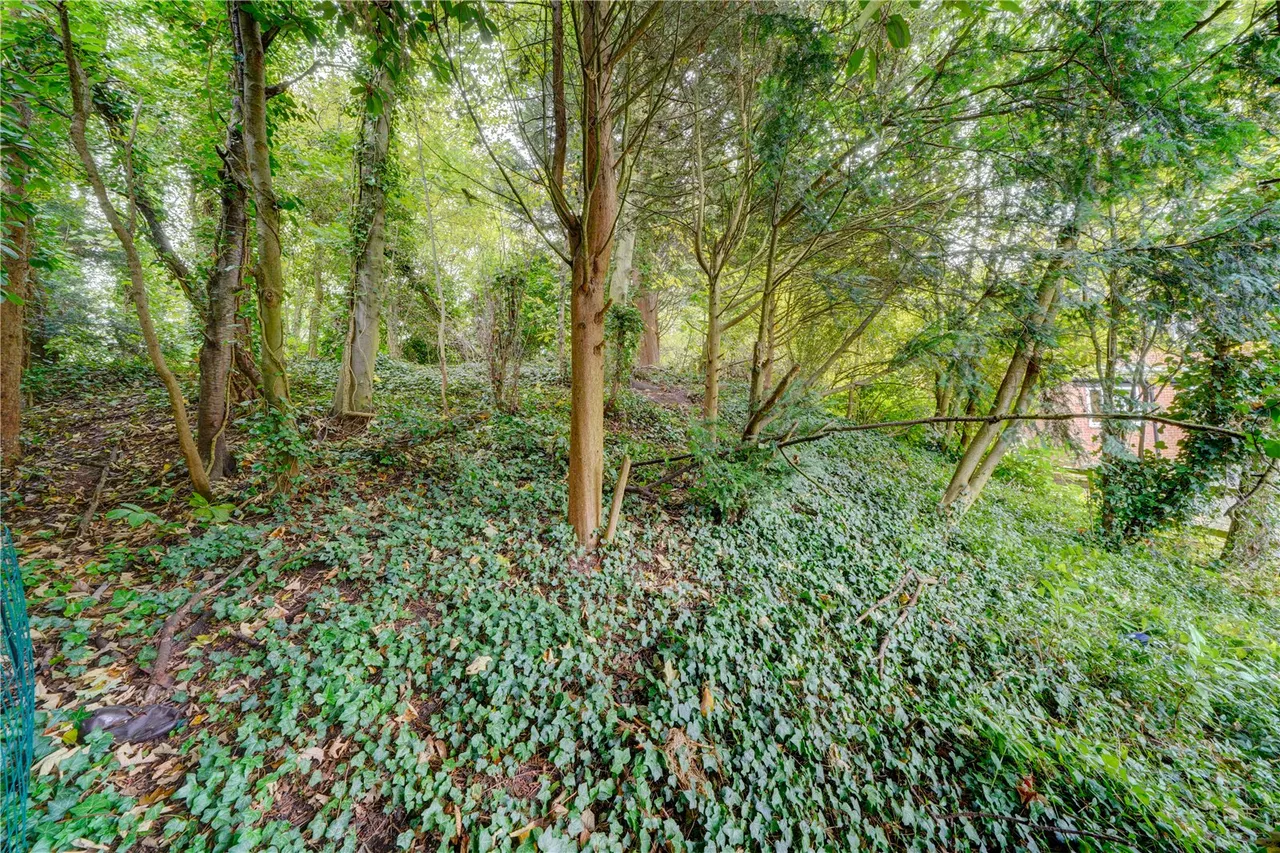 Hanbury Road, Droitwich, Worcestershire, WR9 8PR, photo 38
