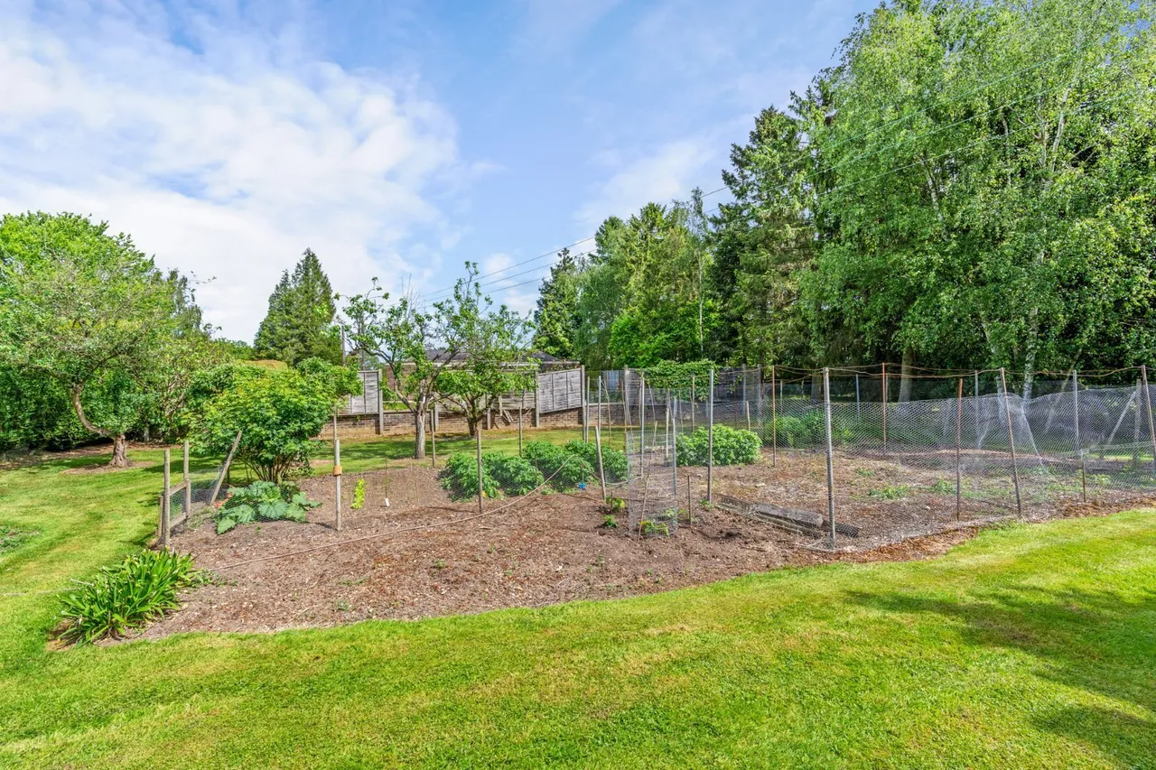 Halstead Road, Aldham, CO6, photo 44