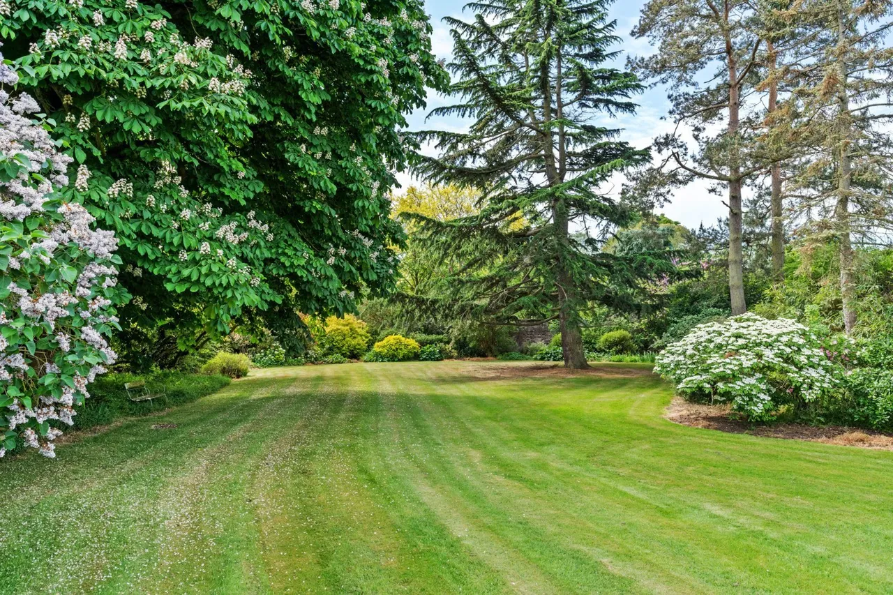 Halstead Road, Aldham, CO6, photo 45