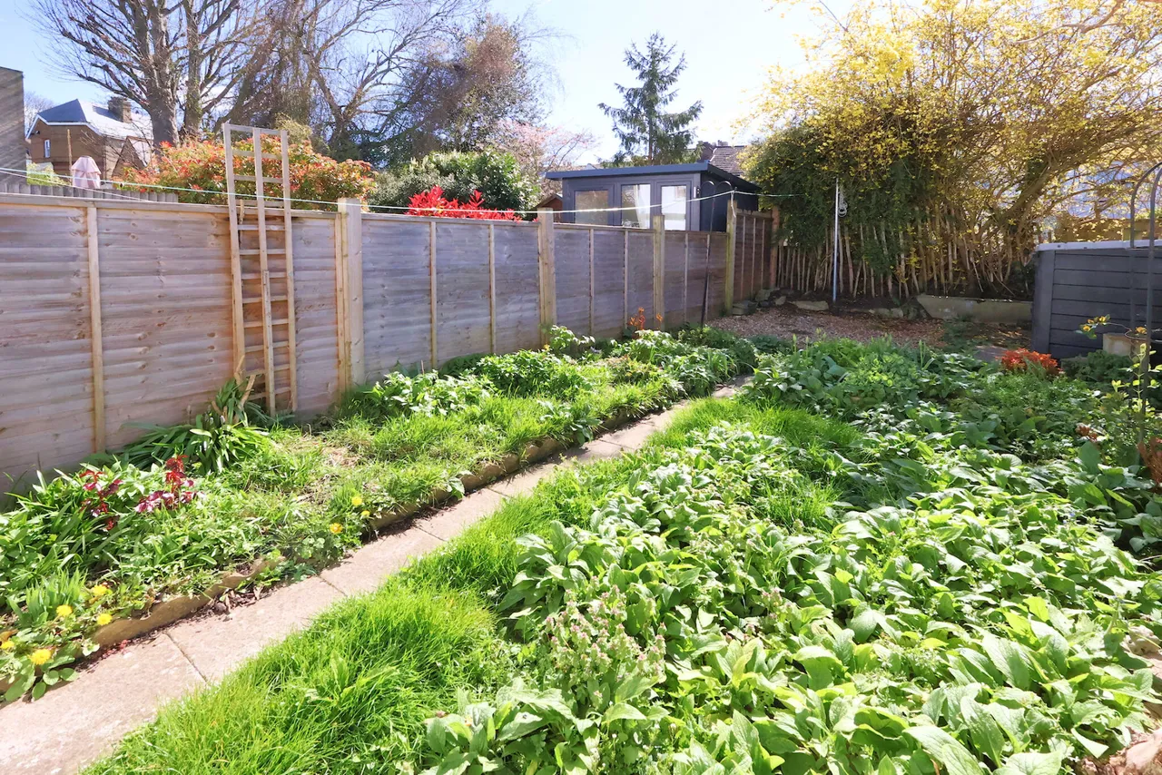 Helder Street, South Croydon, South Croydon, CR2 6HT, photo 11