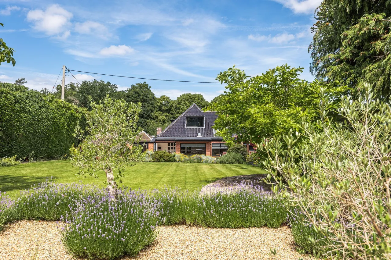Meticulously Renovated Detached Home, photo 21