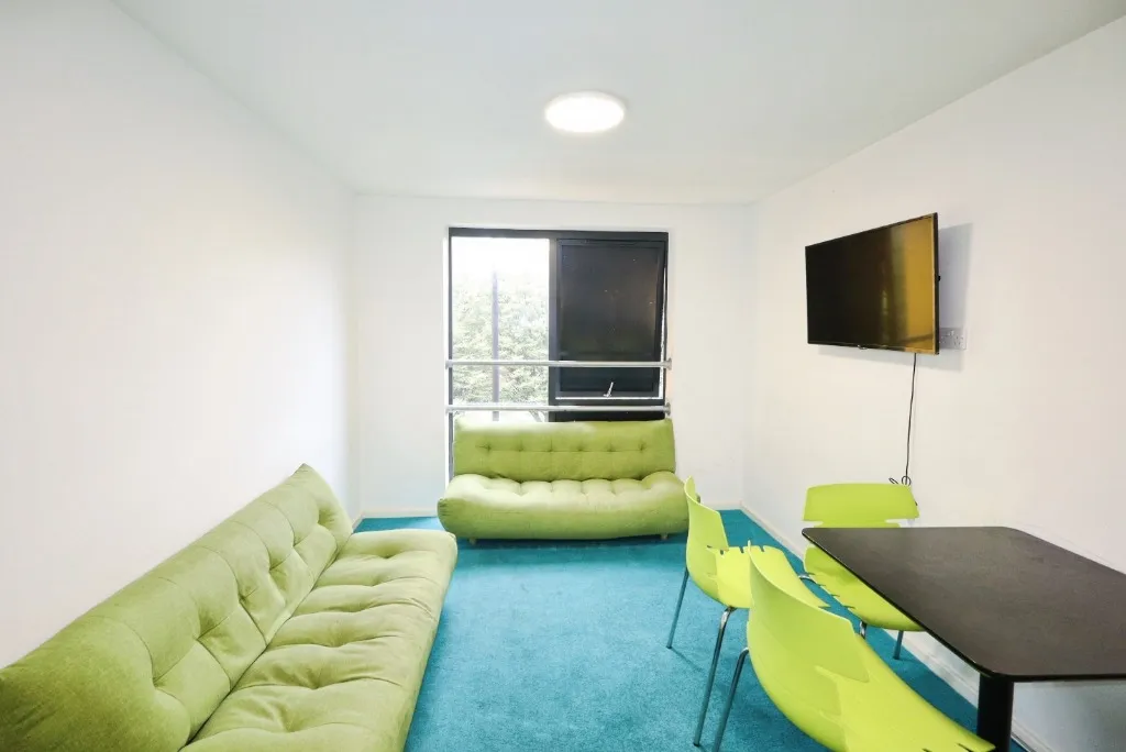 Egerton Street, Sheffield, S1, photo 5