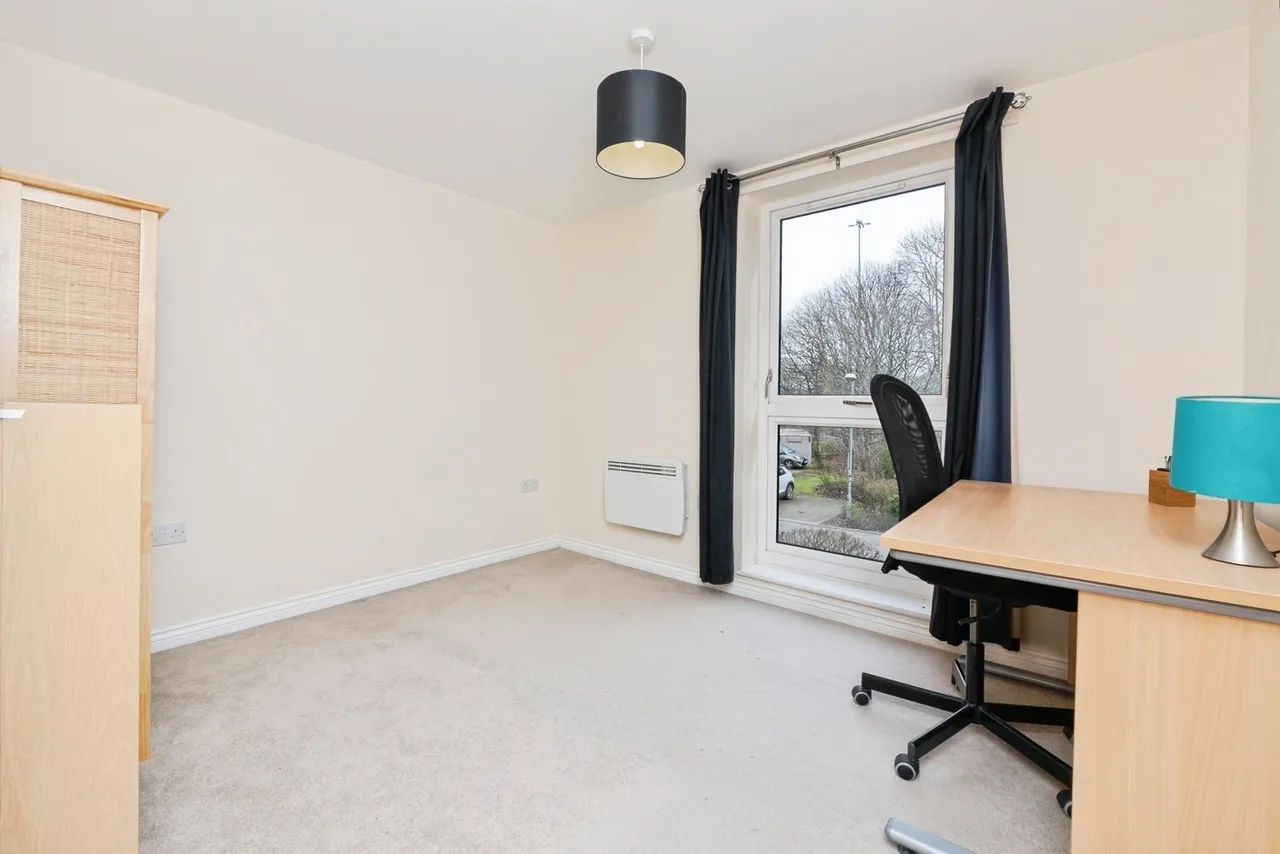 Paxton Drive, Bristol, Somerset, BS3, photo 16