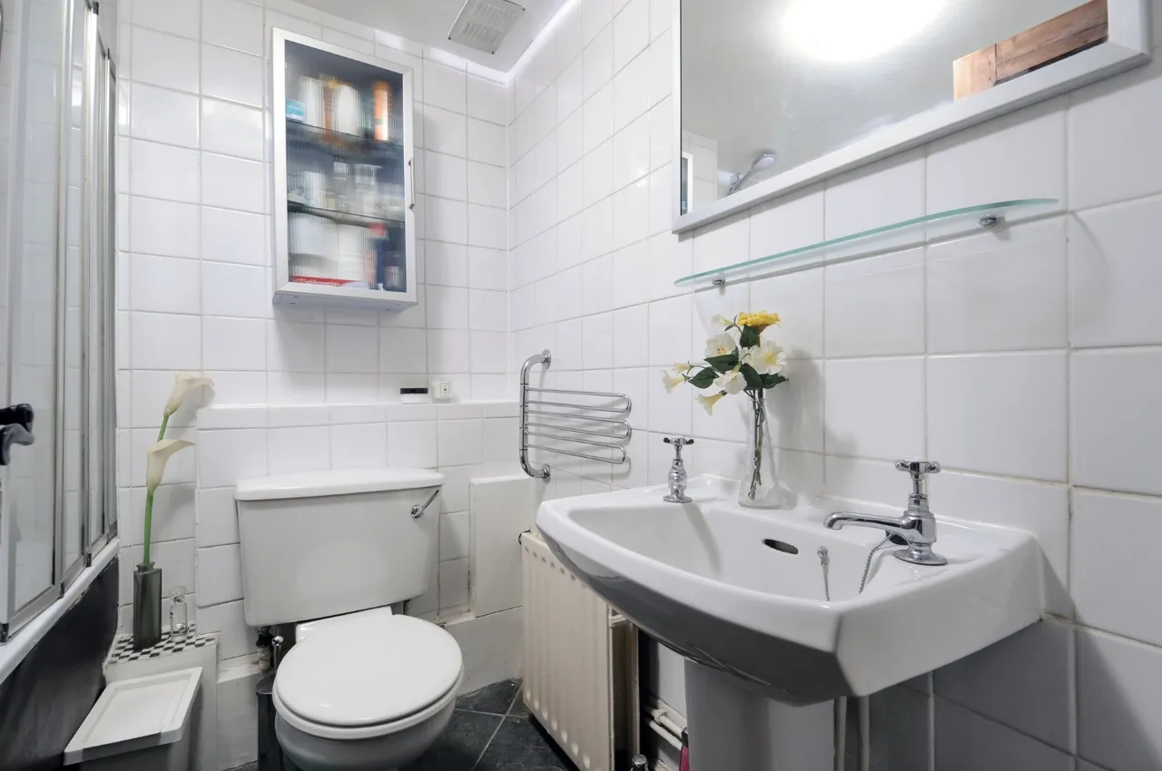 Tregothnan Road, Clapham, SW9, photo 5