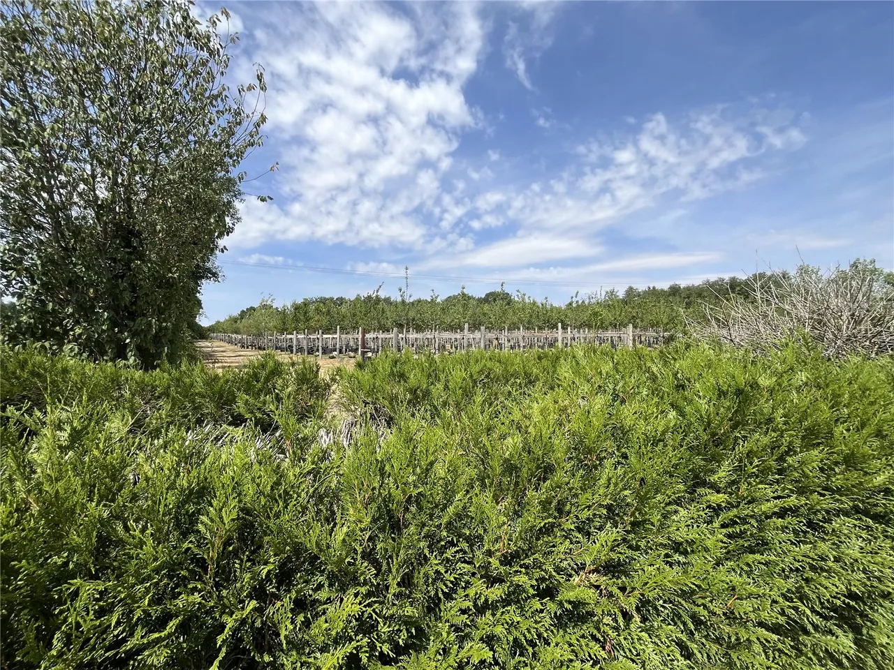 Knapp Lane, Ampfield, Romsey, Hampshire, SO51 9BT, photo 12