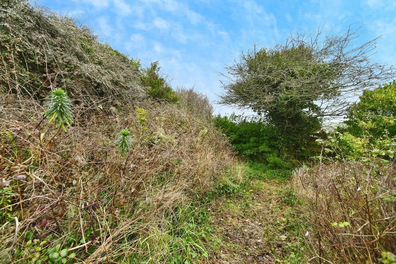 Bishopstone Drive, Saltdean, BN2, photo 18