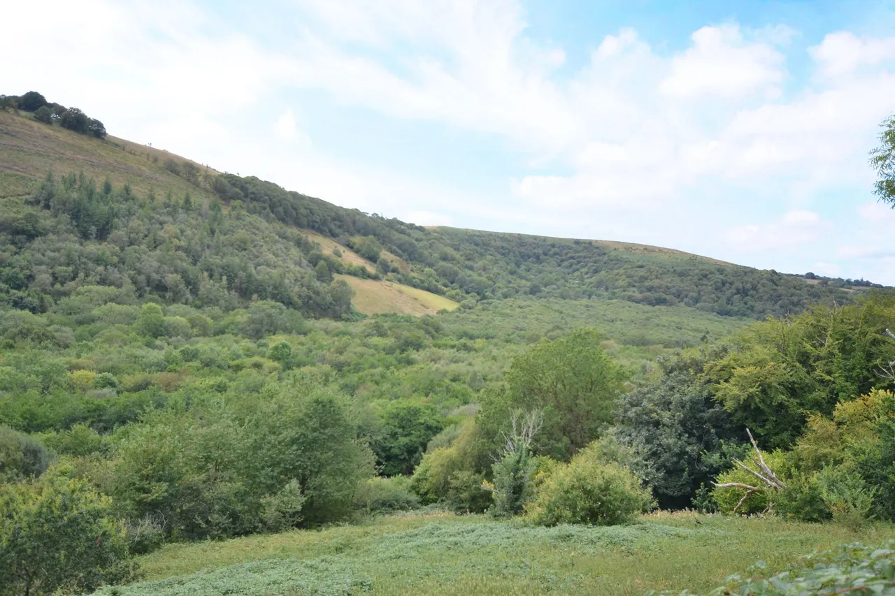 land for sale, Cwmdu, Llandeilo, SA19