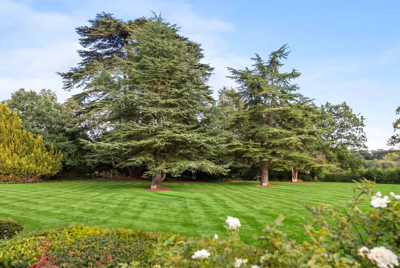 'Bayfordbury Mansion' Hertford, SG13, photo 54