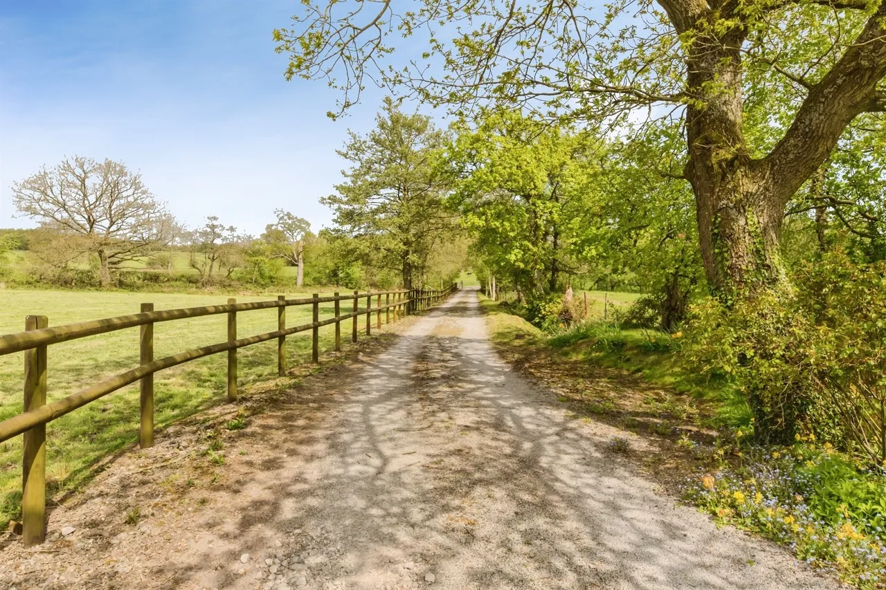 Consall, Wetley Rocks, ST9, photo 27