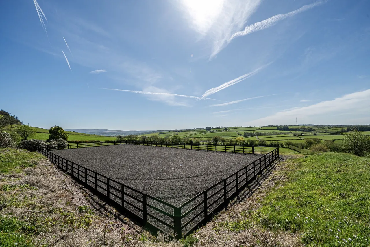 Golden Grove, Llanarthney, SA32, photo 25