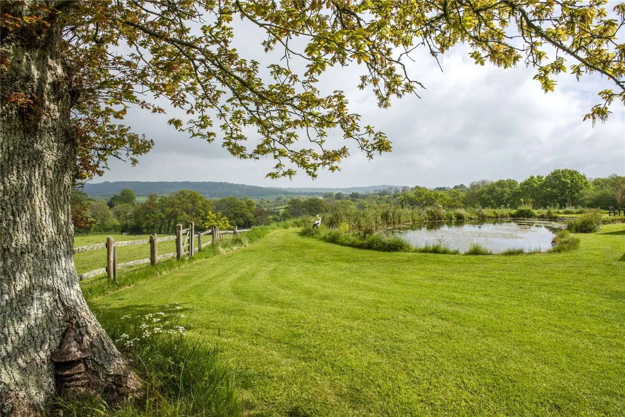 Sedgehill, Shaftesbury, SP7, photo 25